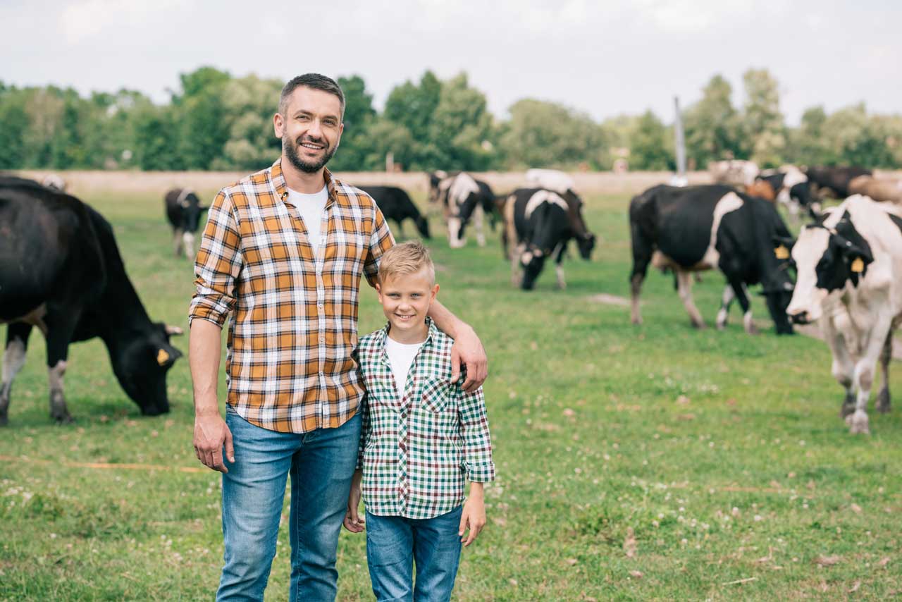 Dairy Farm, Father & Son